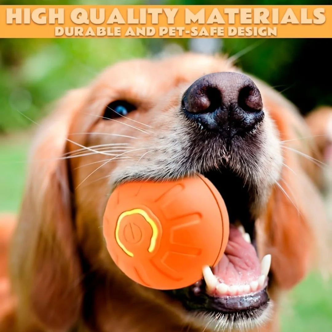BranRok™ Viral Pet Ball (BUY 2 + FREE SHIPPING)