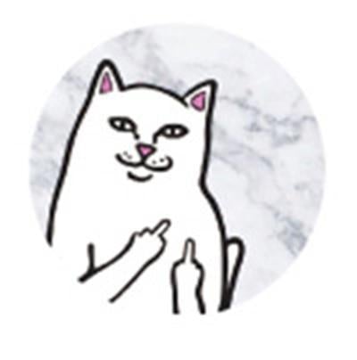 Fashion Collection Badcat