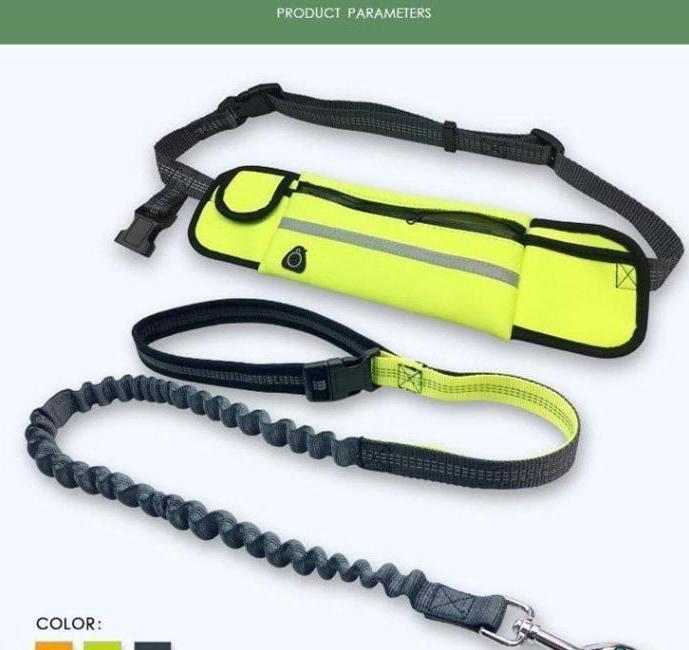 Handsfree Bungee Dog Leash