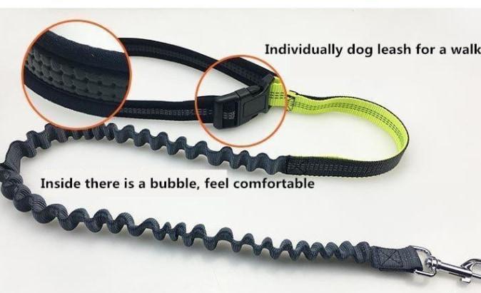 Handsfree Bungee Dog Leash