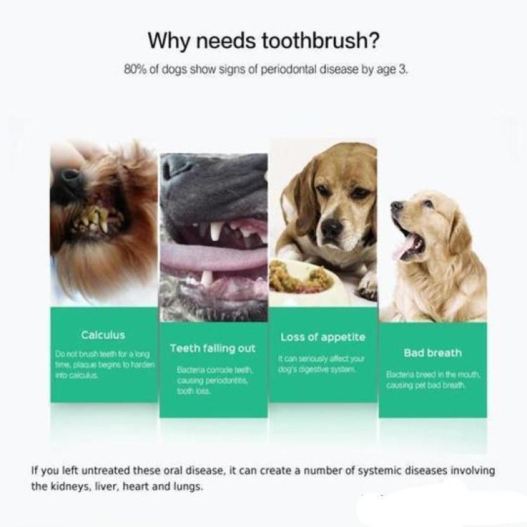 Magic Toothbrush For Dogs