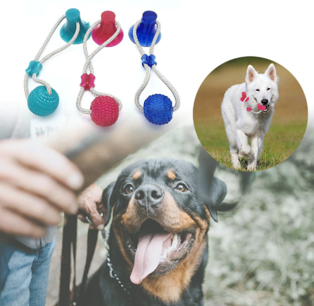 Multifunction Pet Molar Bite Toy