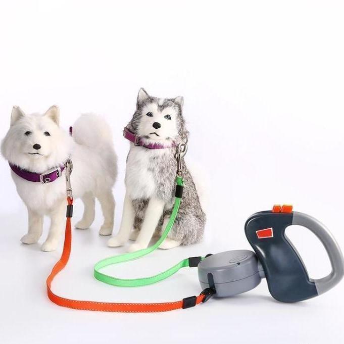 Wigzi Dual Doggie Walks