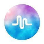 Trend Collection Bluesound