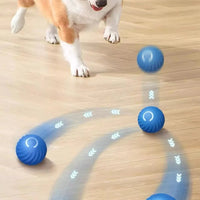 BranRok™ Viral Pet Ball  (BUY 2 + FREE SHIPPING)