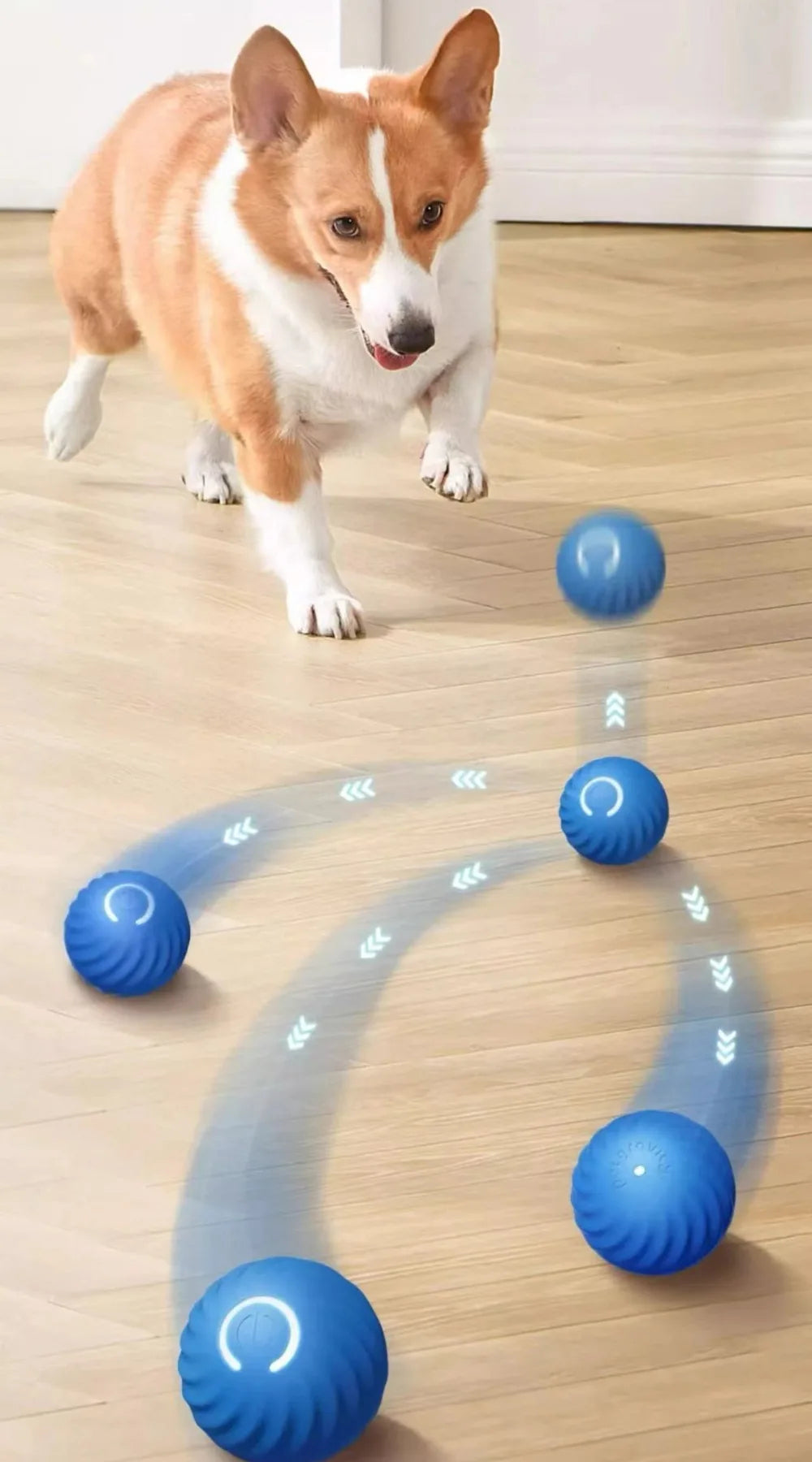 BranRok™ Viral Pet Ball  (BUY 2 + FREE SHIPPING)