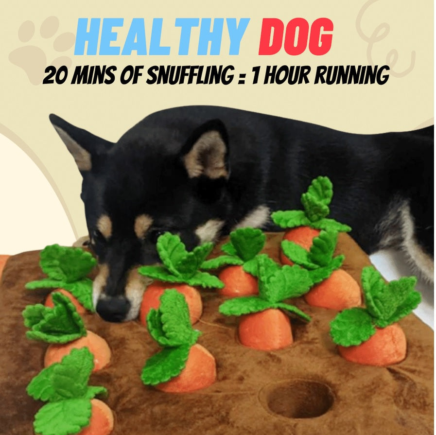 CARROT PLUSHIE™ For Pets  (BUY 2 + FREE SHIPPING)