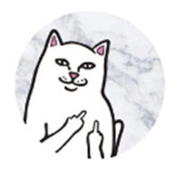 Fashion Collection Badcat