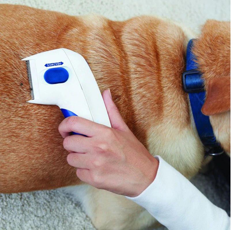 Magic Electric Flea Comb