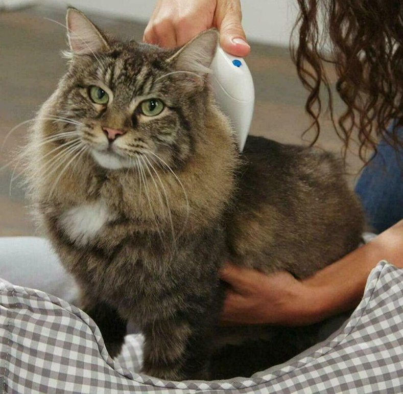 Magic Electric Flea Comb