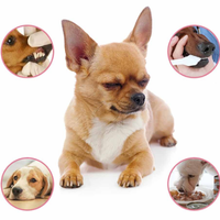 Magic Pet Breath Freshener