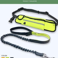 Handsfree Bungee Dog Leash
