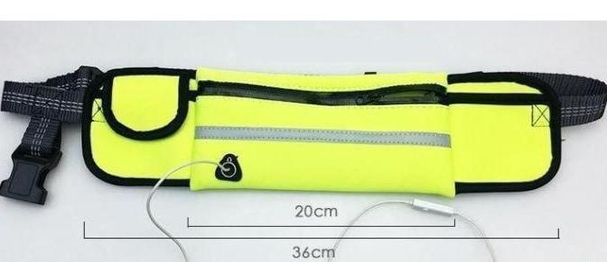 Handsfree Bungee Dog Leash