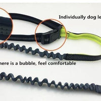 Handsfree Bungee Dog Leash