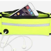 Handsfree Bungee Dog Leash