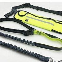 Handsfree Bungee Dog Leash