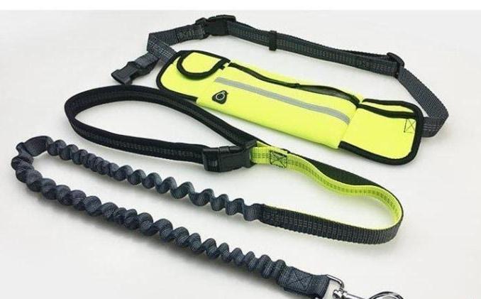 Handsfree Bungee Dog Leash