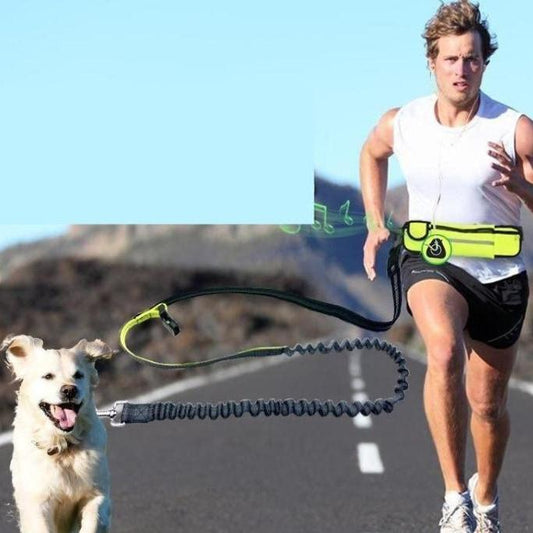 Handsfree Bungee Dog Leash