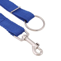 Instant Dog Trainer Leash