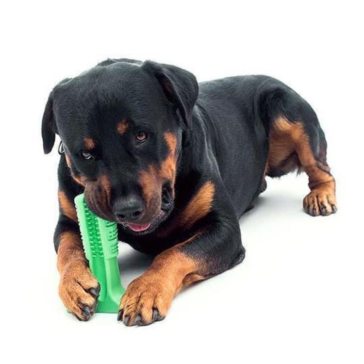 Magic Toothbrush For Dogs