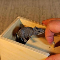 Prank Scare Box Export39