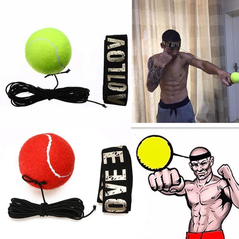 Pro Reflex Boxing Trainer