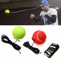 Pro Reflex Boxing Trainer