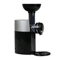 Frozen Fruit Dessert Machine Black / Au