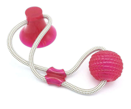 Multifunction Pet Molar Bite Toy Buy 1 Only / Red